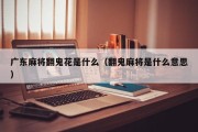 广东麻将翻鬼花是什么（翻鬼麻将是什么意思）