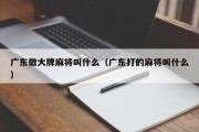 广东做大牌麻将叫什么（广东打的麻将叫什么）