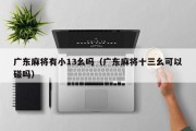 广东麻将有小13幺吗（广东麻将十三幺可以碰吗）