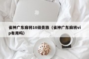 雀神广东麻将10级贵族（雀神广东麻将vip有用吗）