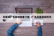 白板变广东麻将哪里下载（广东白板变麻将攻略）