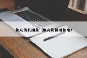 鱼丸街机捕鱼（鱼丸街机捕鱼电）