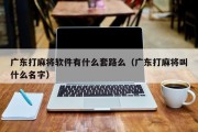 广东打麻将软件有什么套路么（广东打麻将叫什么名字）